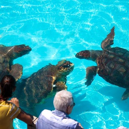 Pousada Barra Linda Florianópolis Kültér fotó
